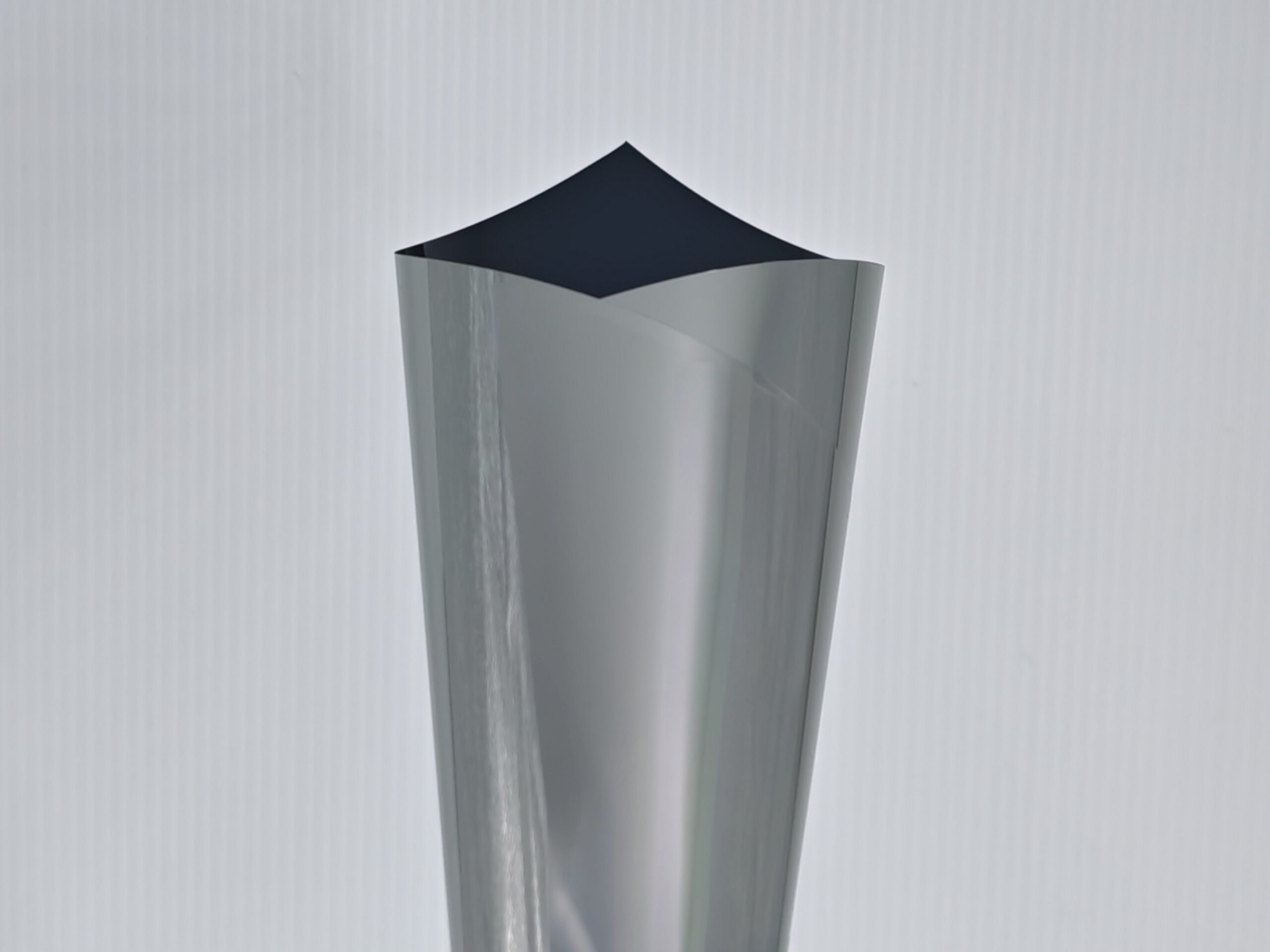 Silver Black05a